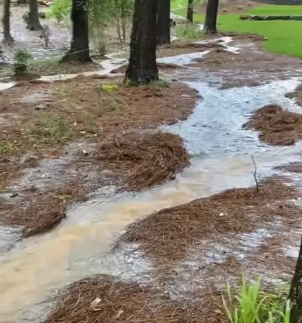 Flooded Yard Cleaning In Vista, CA